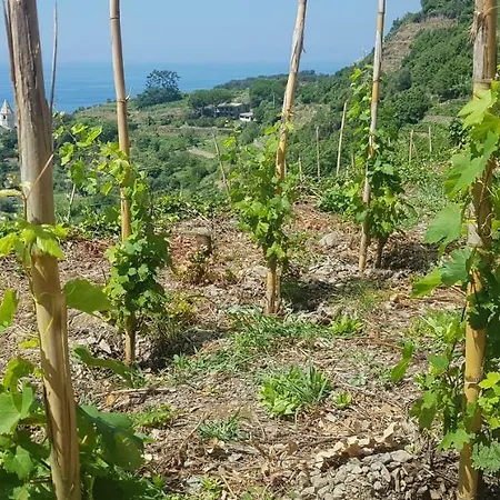 Il Soppalco 3*